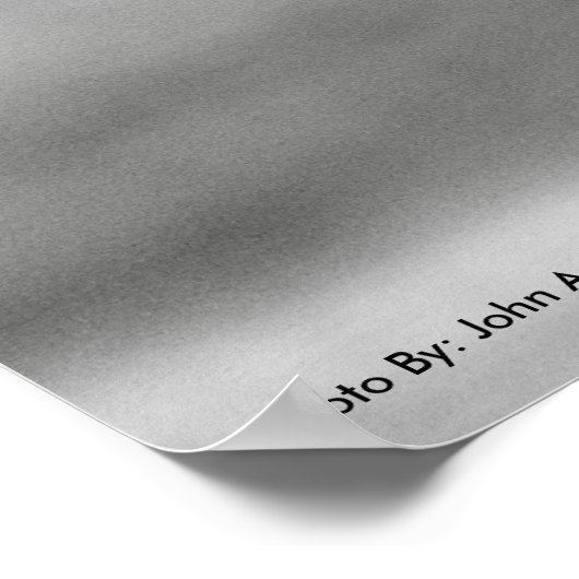 ポスターDSC_8249, Zebraスマイル ポスター (角)