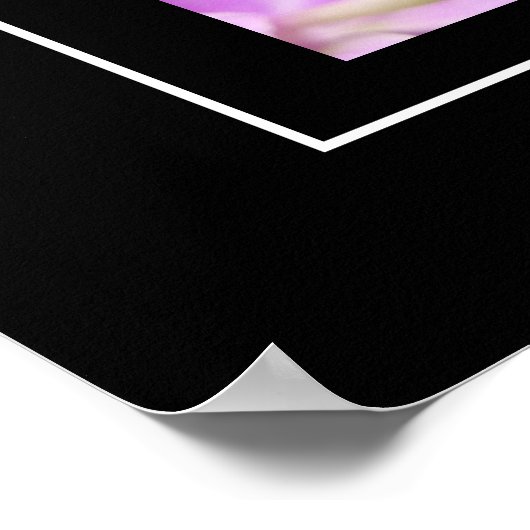 ポスターGecko ポスター (角)