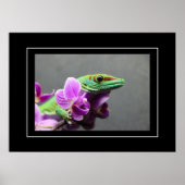 ポスターGecko ポスター (正面)