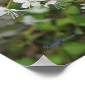 ポスターKirsti Harmaya ポスター (角)