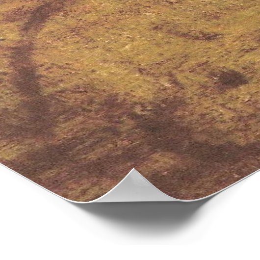 ポスターLeonard de Vinci _ La Scapigliata ポスター (角)