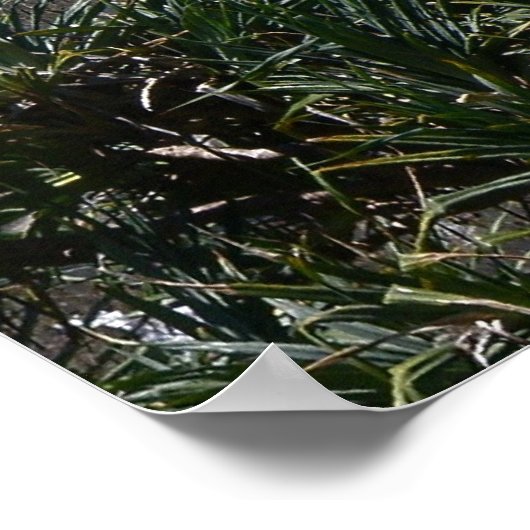 ポスターLookout At Point Advance Australia ポスター (角)