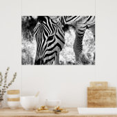 ポスターZebraクローズアップ ポスター (キッチン)
