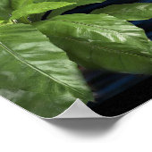 ポスタ想像ーを作ること実在は ポスター (角)