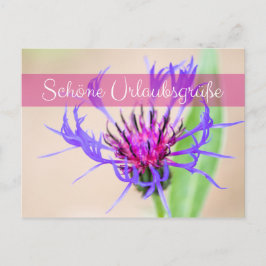 ポストから届く、素敵なバケーションの挨拶 ポストカード