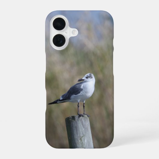 ポストに止まるカモメ iPhone 16ケース (裏面)