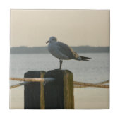 ポストのカモメ タイル (正面)