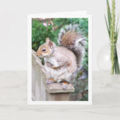 ポストのキツネ カード (正面)