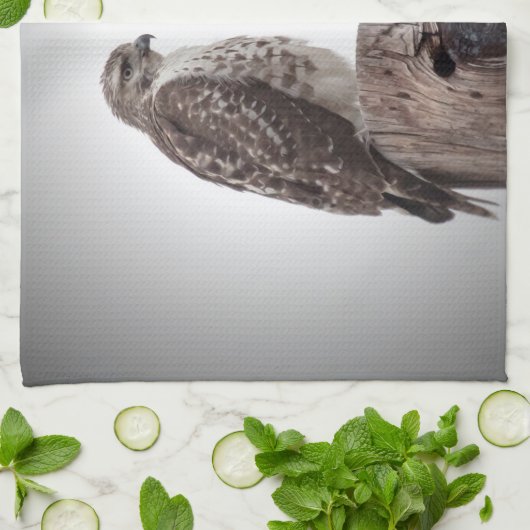 ポストのタカ キッチンタオル (折り畳み)