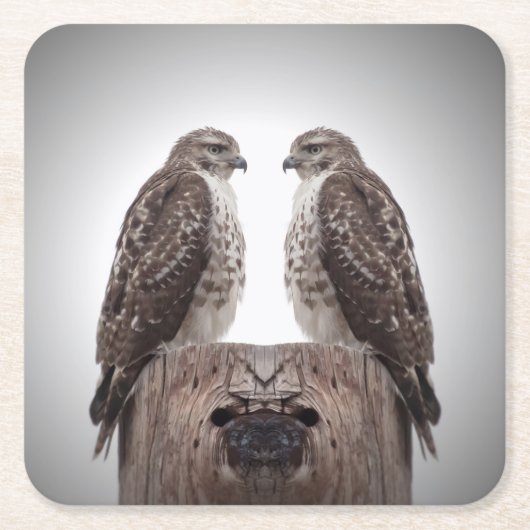 ポストのタカ スクエアペーパーコースター (正面)