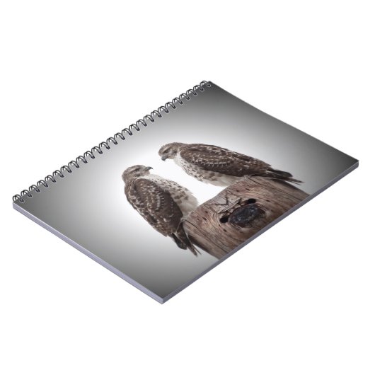 ポストのタカ ノートブック (左側)