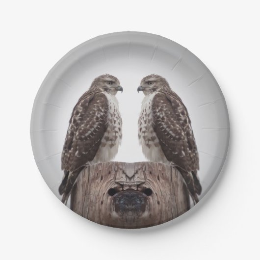 ポストのタカ ペーパープレート (正面)