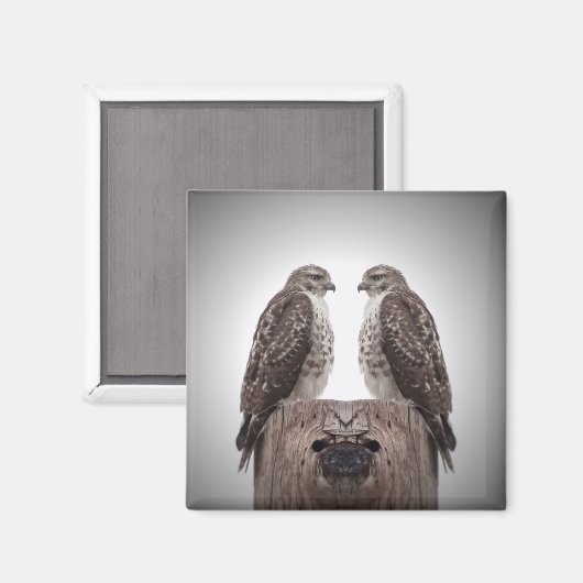 ポストのタカ マグネット (正面/裏面)