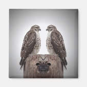 ポストのタカ マグネット (正面)