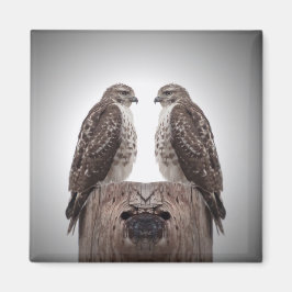 ポストのタカ マグネット