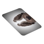 ポストのタカ マグネット (右側)