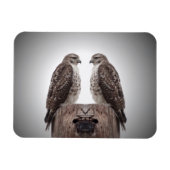 ポストのタカ マグネット (横)