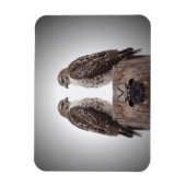 ポストのタカ マグネット (縦)