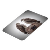 ポストのタカ マグネット (左側)