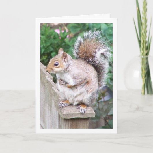 ポストのリス カード (正面)