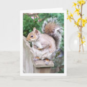 ポストのリス カード (黄色い花)