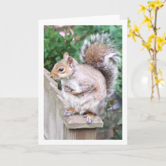ポストのリス カード (黄色い花)