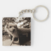 ポストの中の犬 キーホルダー (裏面)