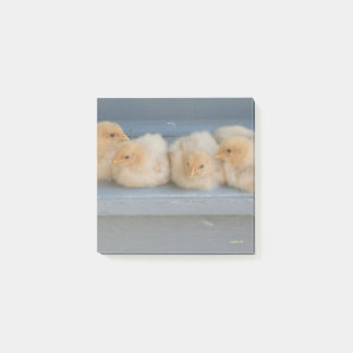 ポストイットノート ポストイット