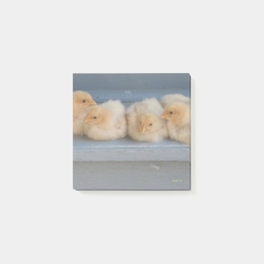 ポストイットノート ポストイット (正面)