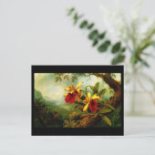 ポストカクラシックード/ヴィンテージ – マーティン・ジョンソンヘード11 ポストカード (スタンド正面)