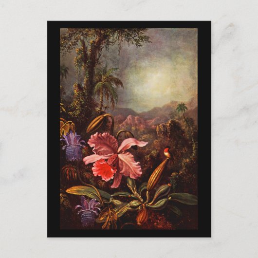 ポストカクラシックード/ヴィンテージ – マーティン・ジョンソンヘード15 ポストカード (正面)