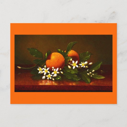 ポストカクラシックード/ヴィンテージ – マーティン・ジョンソンヘード25 ポストカード (正面)