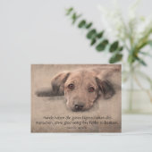 ポストカルテハンデウェルペミットジタ ポストカード (スタンド正面)