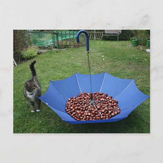 ポストカルテ – ウワビスト・デュ・デン？ ポストカード (正面)