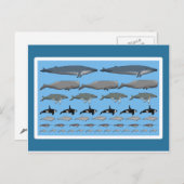 ポストカルテ「エール」 ポストカード (正面/裏面)