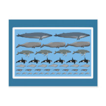 ポストカルテ「エール」