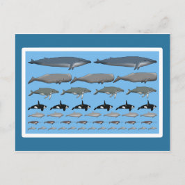 ポストカルテ「エール」 ポストカード