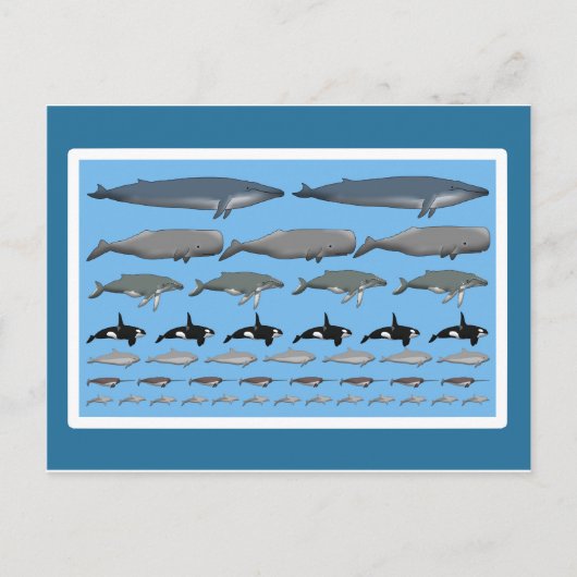 ポストカルテ「エール」 ポストカード (正面)