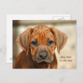 ポストカルテ「オウネ・ディッチは何でも言え!」 ポストカード (正面/裏面)