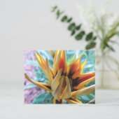 ポストカルテ – オレンジブルーム ポストカード (スタンド正面)