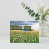 ポストカルテ – クアリタツコントロレ ポストカード (スタンド正面)