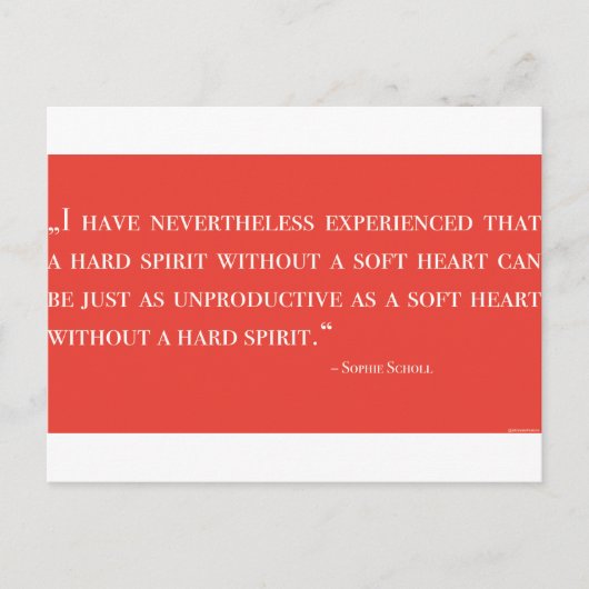 ポストカルテ – ソフィーショル – ジタット – ホワイトローズ ポストカード (正面)