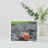 ポストカルテ – ナクチェネッケ ポストカード (スタンド正面)