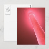 ポストカルテ – ピンクショット ポストカード (正面/裏面)