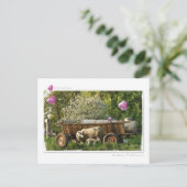 ポストカルテ:フルーリング ポストカード (スタンド正面)