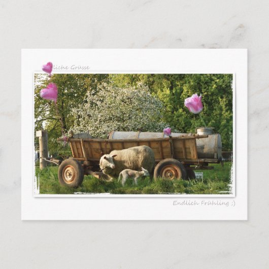 ポストカルテ:フルーリング ポストカード (正面)