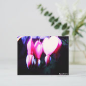 ポストカルテ – ブルメナーゼン ポストカード (スタンド正面)