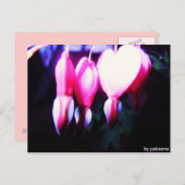 ポストカルテ – ブルメナーゼン ポストカード (正面/裏面)