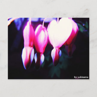 ポストカルテ – ブルメナーゼン ポストカード