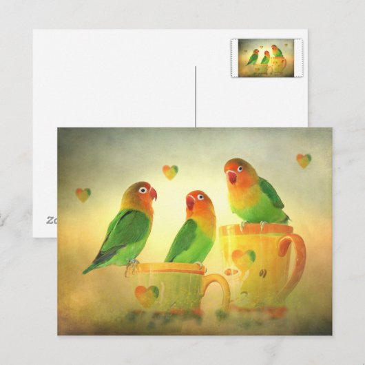 ポストカルテ ポストカード (正面/裏面)